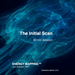 Energy Mapping™ Initial – 30-Minuten Scan | Klarheit in Echtzeit